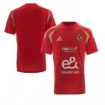تيشرت الأهلي الرسمي – شجع كأنك في التالتة شمال - Al Ahly Official T-Shirt – Cheer Like You're at the Stadium