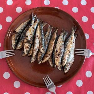 Anchovies انشوجه